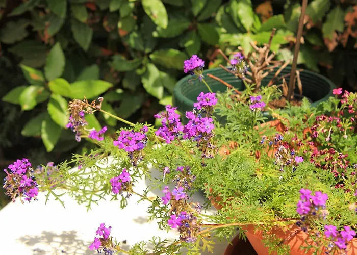 בית הארחה With A Parking Space