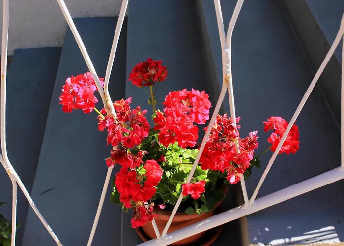 With A Parking Space בית הארחה מאלי לוסיניי