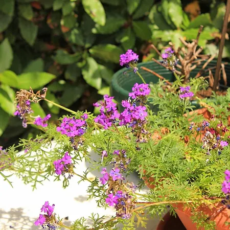 Gasthof With A Parking Space