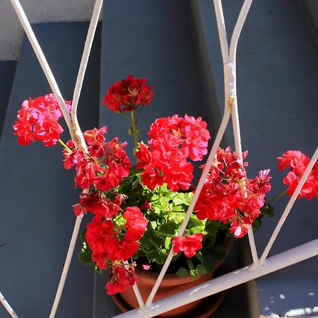 With A Parking Space Gasthof Mali Lošinj